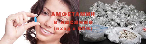 индика Апатиты