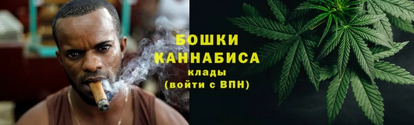 индика Апатиты