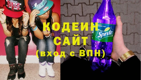 индика Апатиты