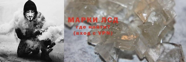 индика Апатиты