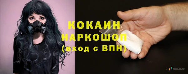 индика Апатиты