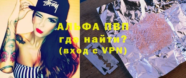 индика Апатиты