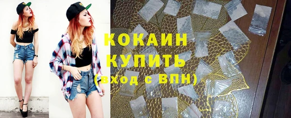 индика Апатиты