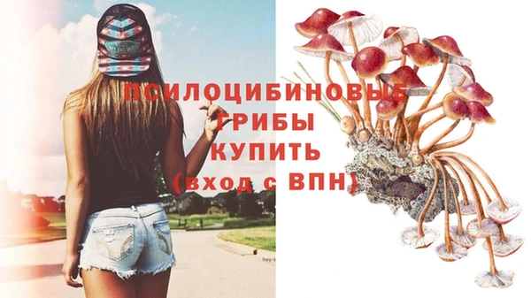 COCAINE Анжеро-Судженск