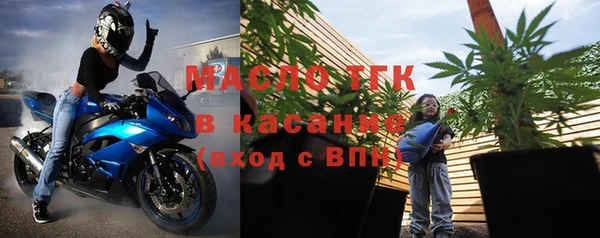 индика Апатиты
