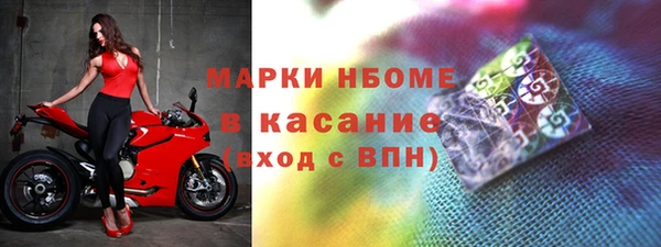 индика Апатиты