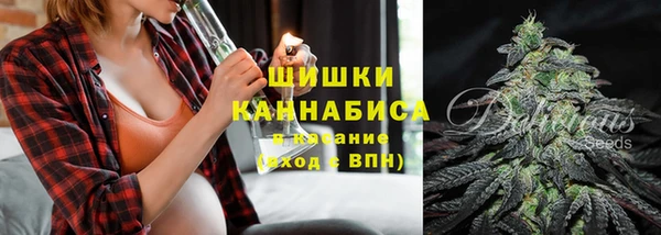 индика Апатиты