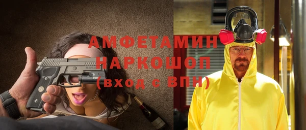 индика Апатиты