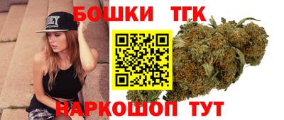 мдпв Камышлов