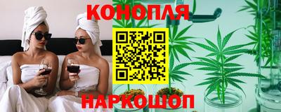 мдпв Камышлов