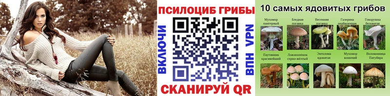 Галлюциногенные грибы MAGIC MUSHROOMS  дарнет шоп  Биробиджан 