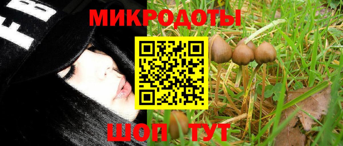 Псилоцибиновые грибы MAGIC MUSHROOMS  Вход с VPN  Биробиджан  Галлюциногенные грибы Magic Shrooms 