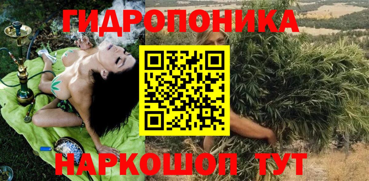 Меф Биробиджан
